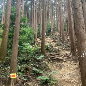 大高取山へ
登るぞー
