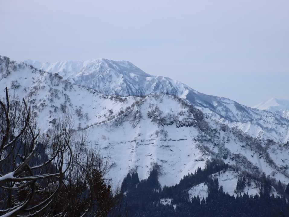 金城山