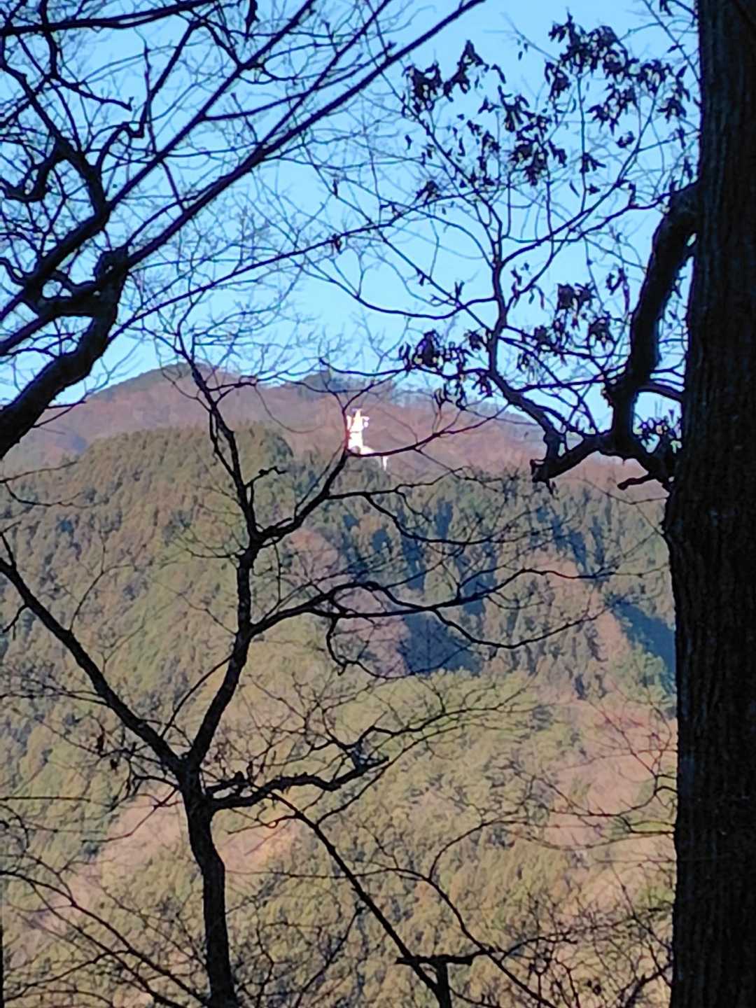 向かいの山肌に宇宙基地みたいな建物が🛸
※大宮駅近くにも🚀的な建物あるよね？