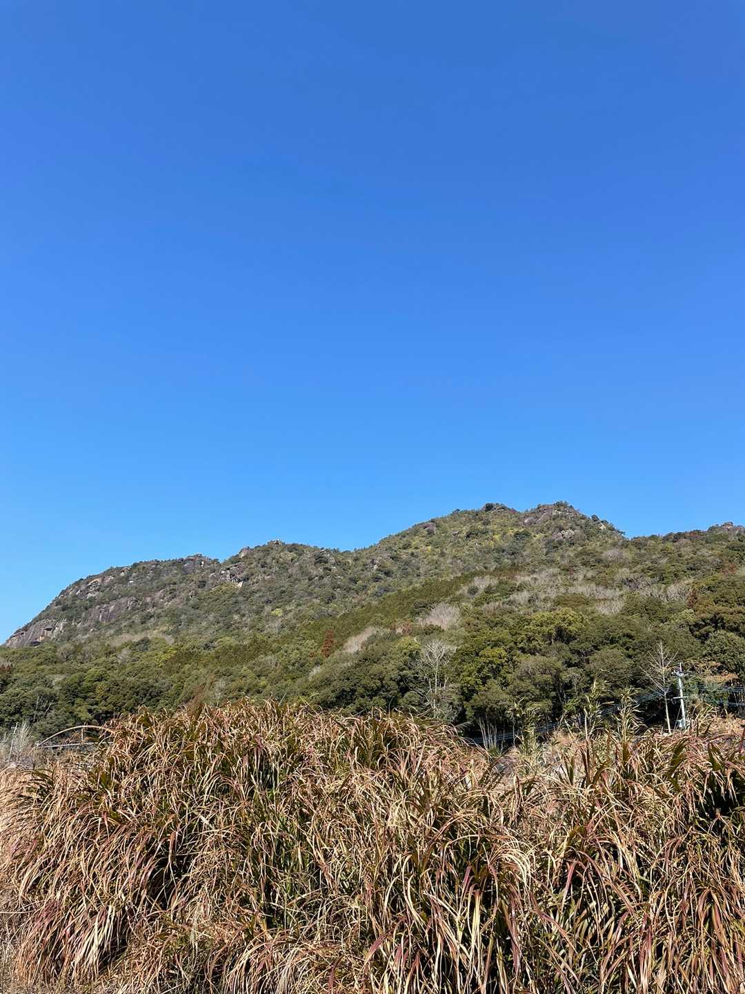 次は山に登りますよー⛰軽く焼き芋🍠たべて出発。