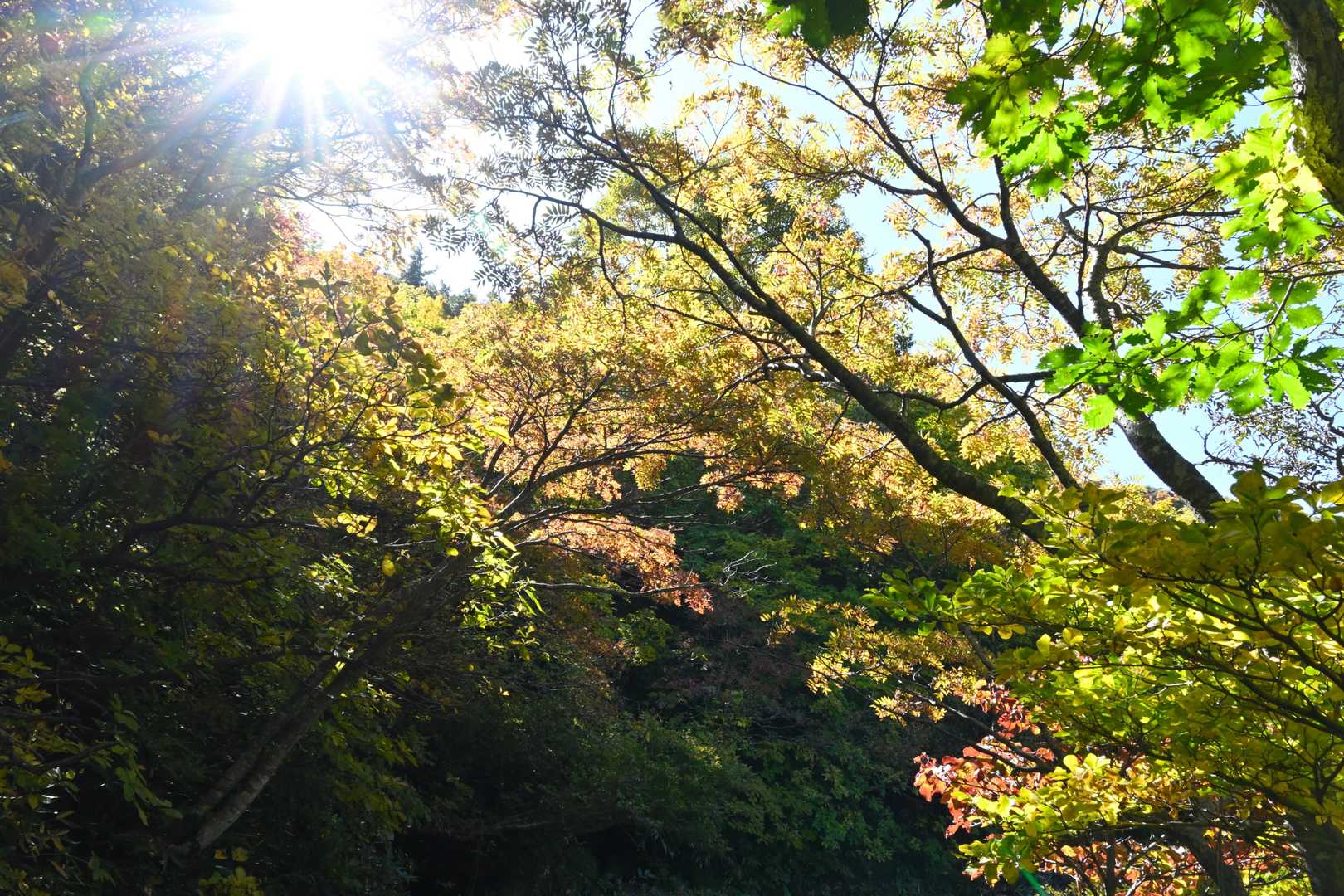 あだたら山 奥岳の湯-奥岳登山口-薬師岳-安達太良山-矢筈 周回コースの写真