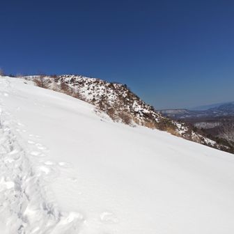 浅間山・黒斑山・篭ノ登山 1600mまで登ると南面が開けてきます