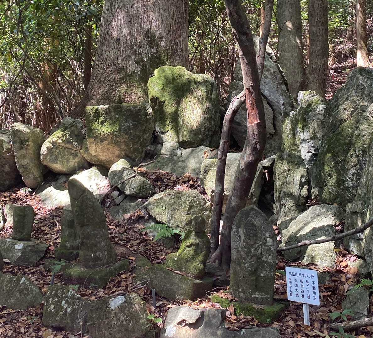 風切山は別名で弘法山とも呼ばれているそうです
登山道にたくさん石仏がありました👏