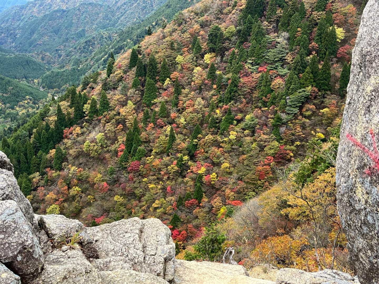 良き良き！紅葉🍁
