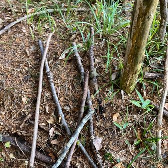 自然に帰る素材でいいな