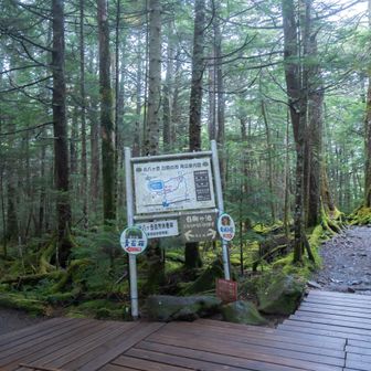 コースタイム的に帰りのバスの時間に余裕がないので
高見石小屋→中山→にゅう→白駒池の周り方で、余った時間で白駒池を楽しむ時間に使う作戦です☆
（結果、この作戦失敗します😂）