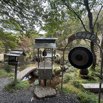 長者池の八大龍王
がん封じのドラは一応鳴らしました。