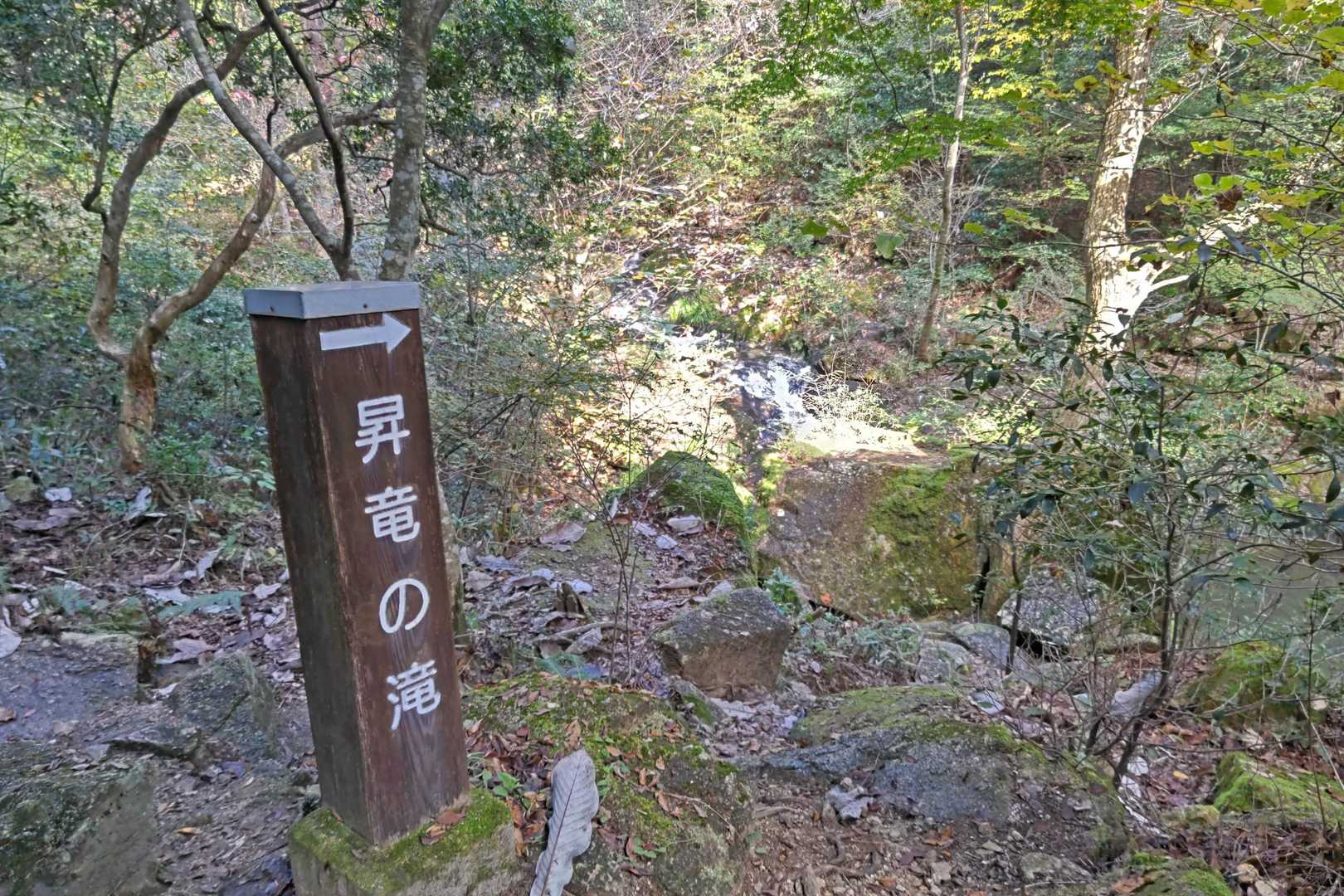 ここで特訓すれば昇龍拳が…👍
字が違うね😅
