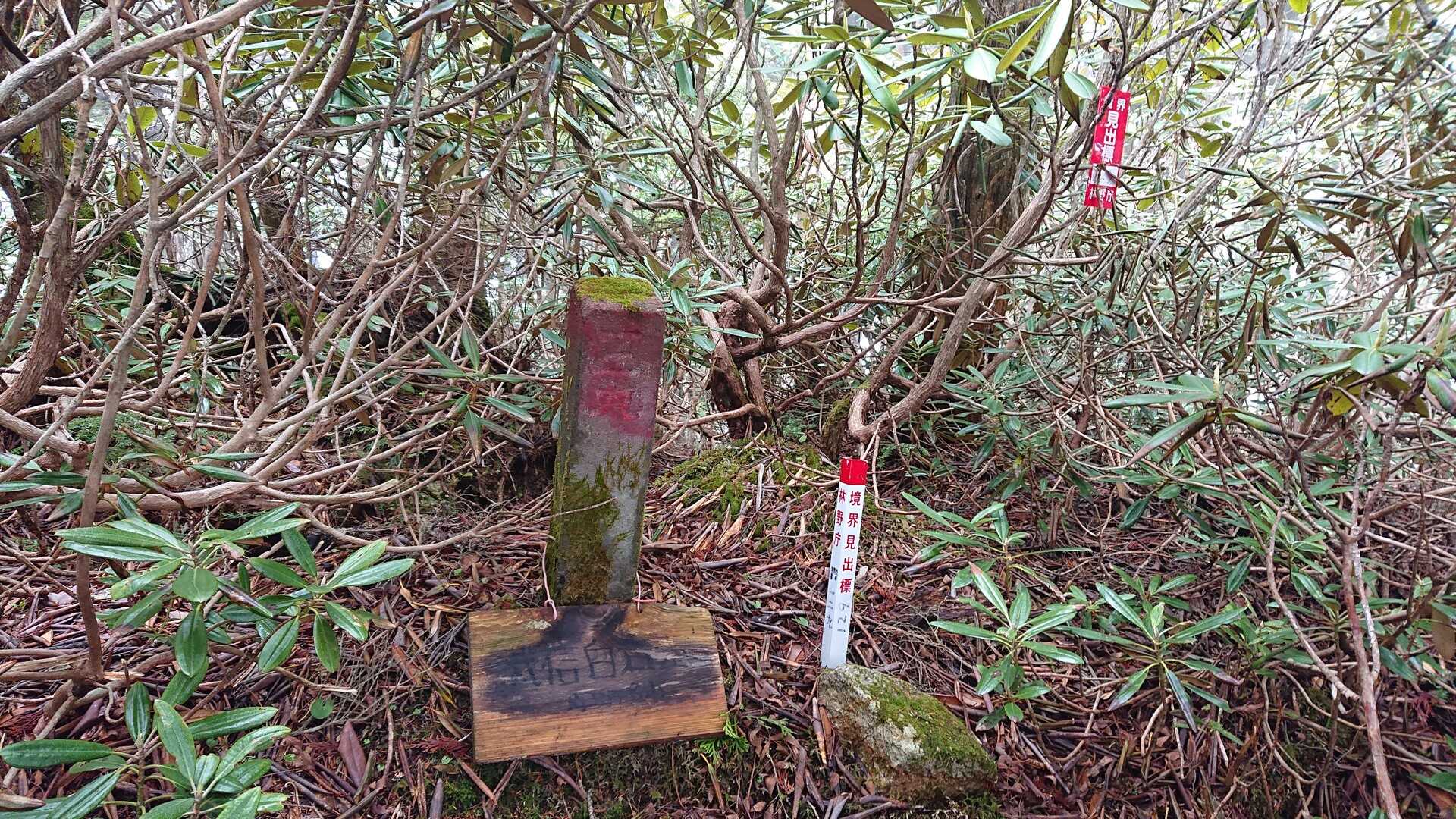 武信白岩山の写真