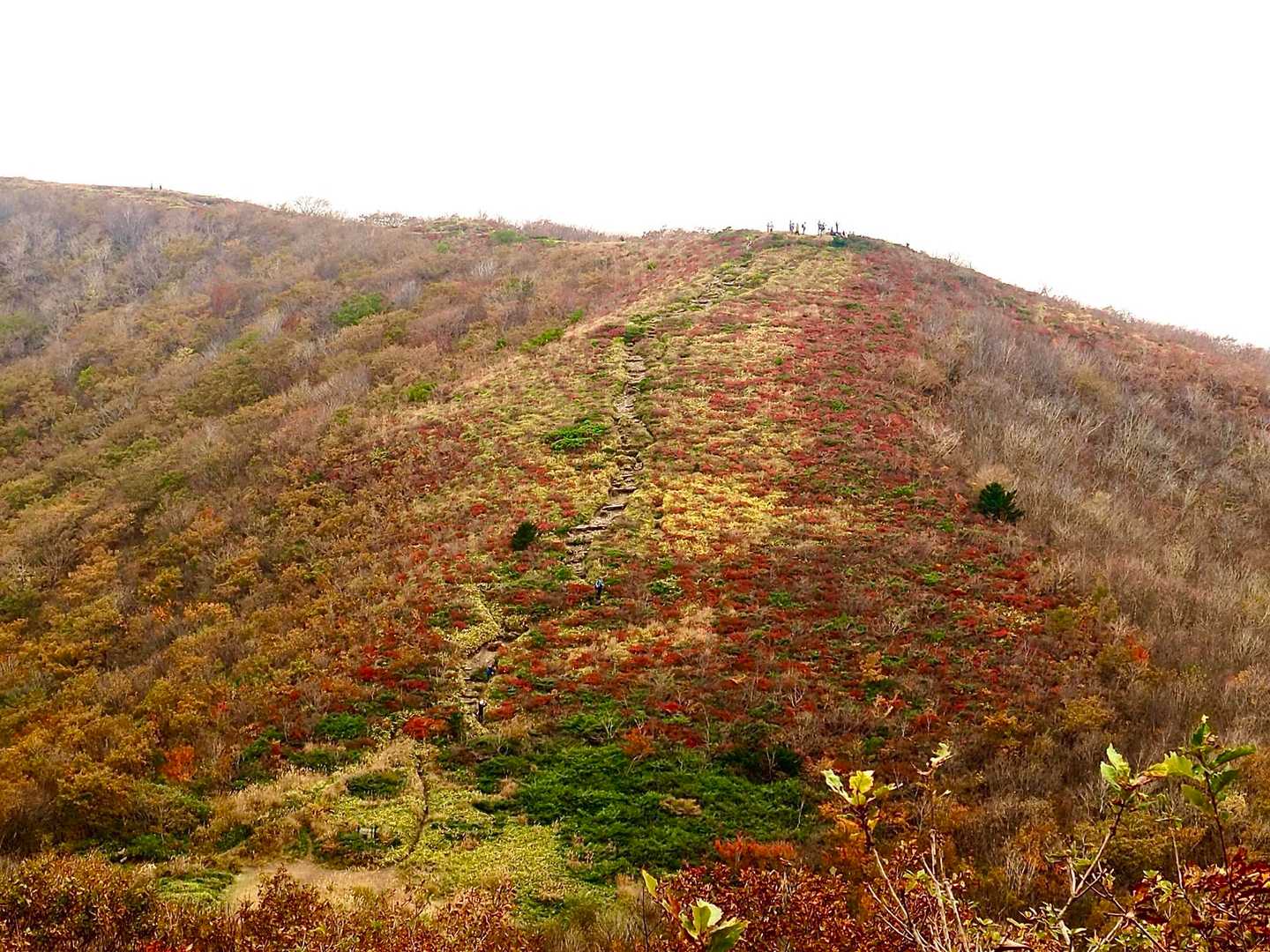 池の段の頂上にもたくさんの人💦
皆青空が出るのをしばらく待っていたようでした😅