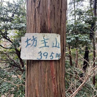 登山口から3分ぐらいで着くピーク