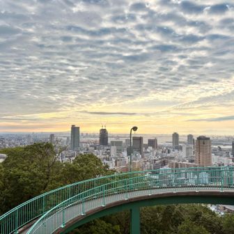 ループ橋、以外に怖かった😰
観覧車といい、高所恐怖症はあんまり変わらないみたい😅