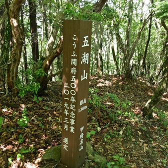 こちらも甲府なのか