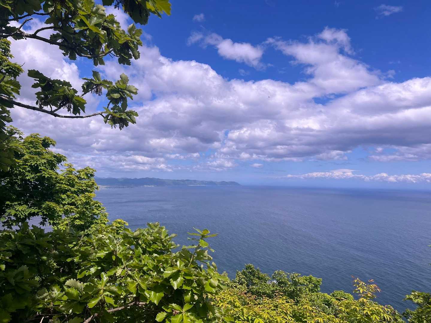 汐首山方向👀