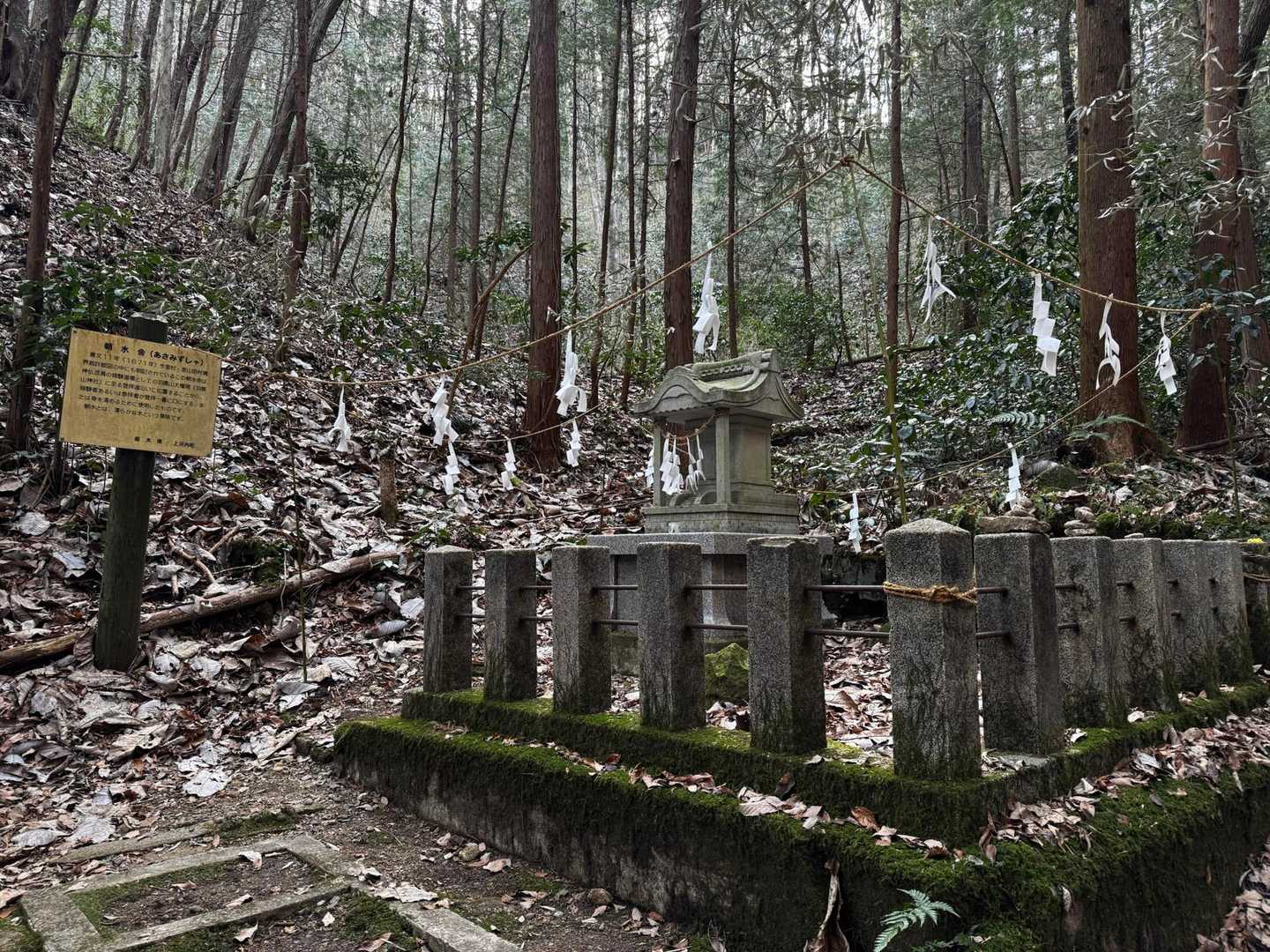 羽黒山 往復 | 歴史香る杉並木の参道と、雄大な関東平野を見渡す山頂の写真