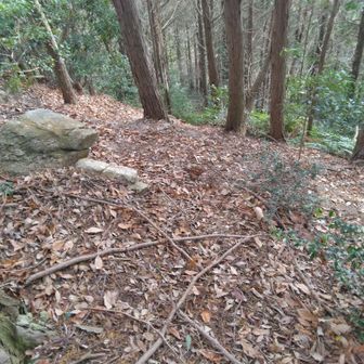 かなりの勾配あり