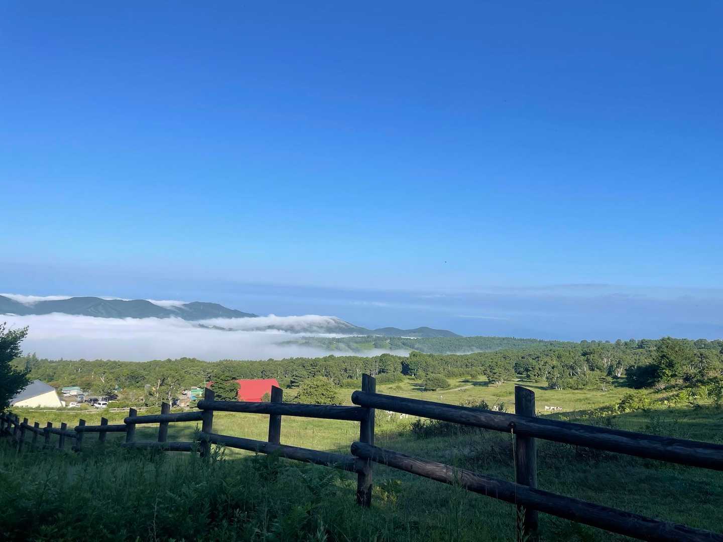 雲海が素敵で。なんだか高いお山に登ってきたような気分になりました✨歩き始めなのに😆元々の標高も髙いからなあ。菅平。