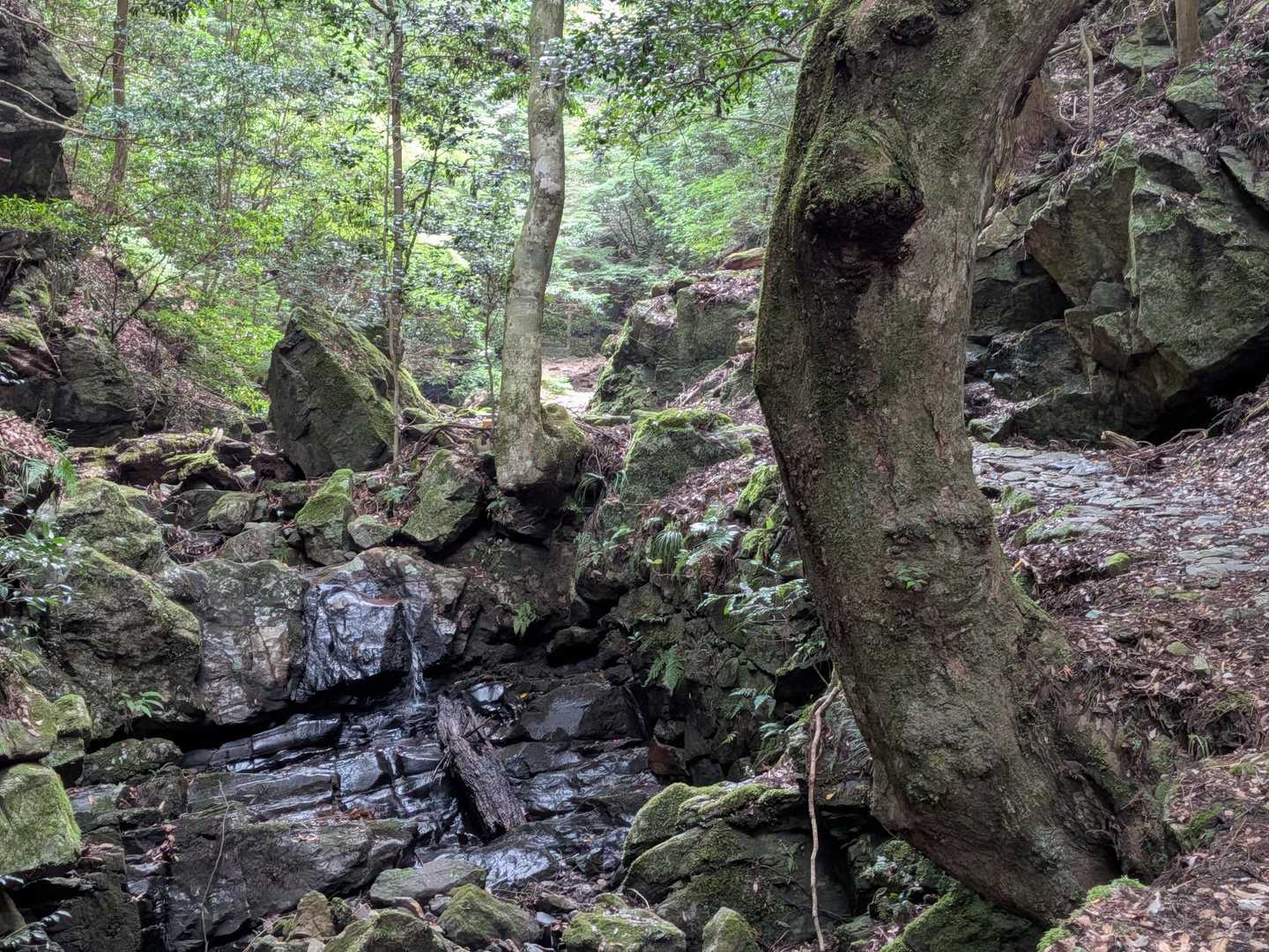 この景色癒される