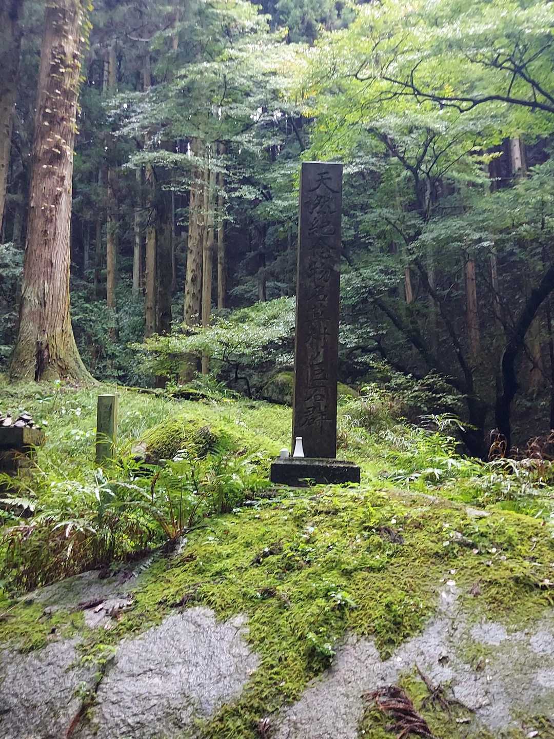 国の天然記念物の記念碑