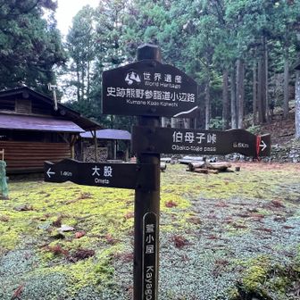 外で焚き火出来るスペースもありました。
夏は楽しそう。