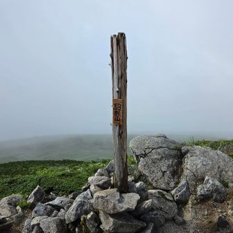 その頂に到着