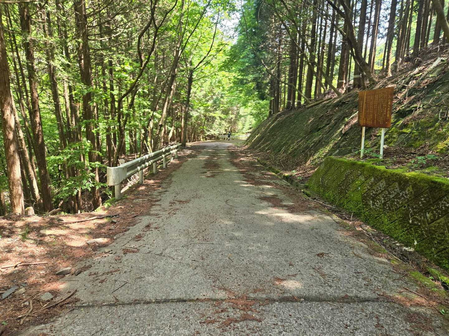 林道へ
これが結構長い！(電車の時間が迫って焦っているせいも…)