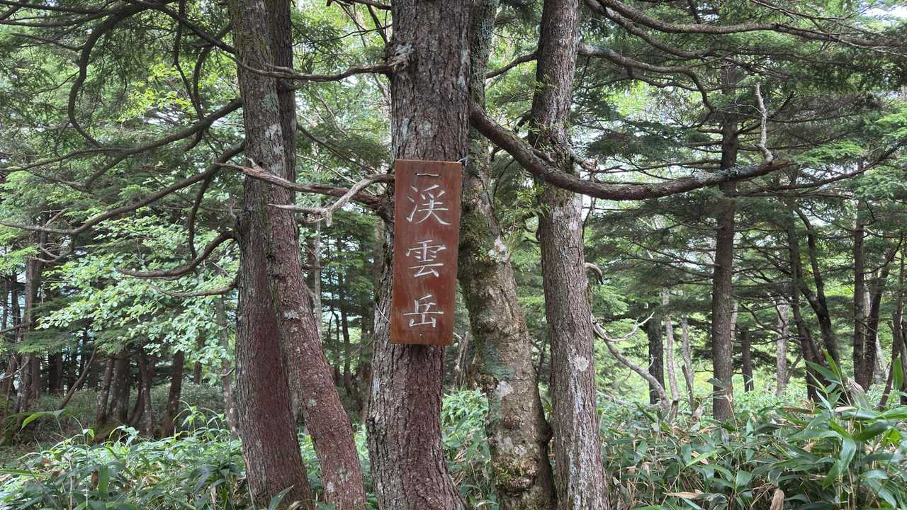 皇海山（鋸山周回）、日帰り最難関 の写真 14