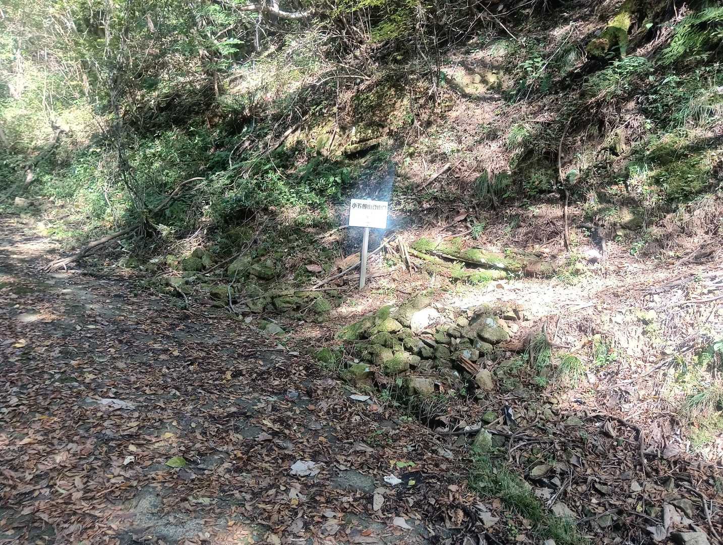 登山口