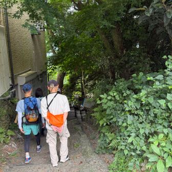 下山です