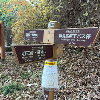 ひたすらアス道を登ります