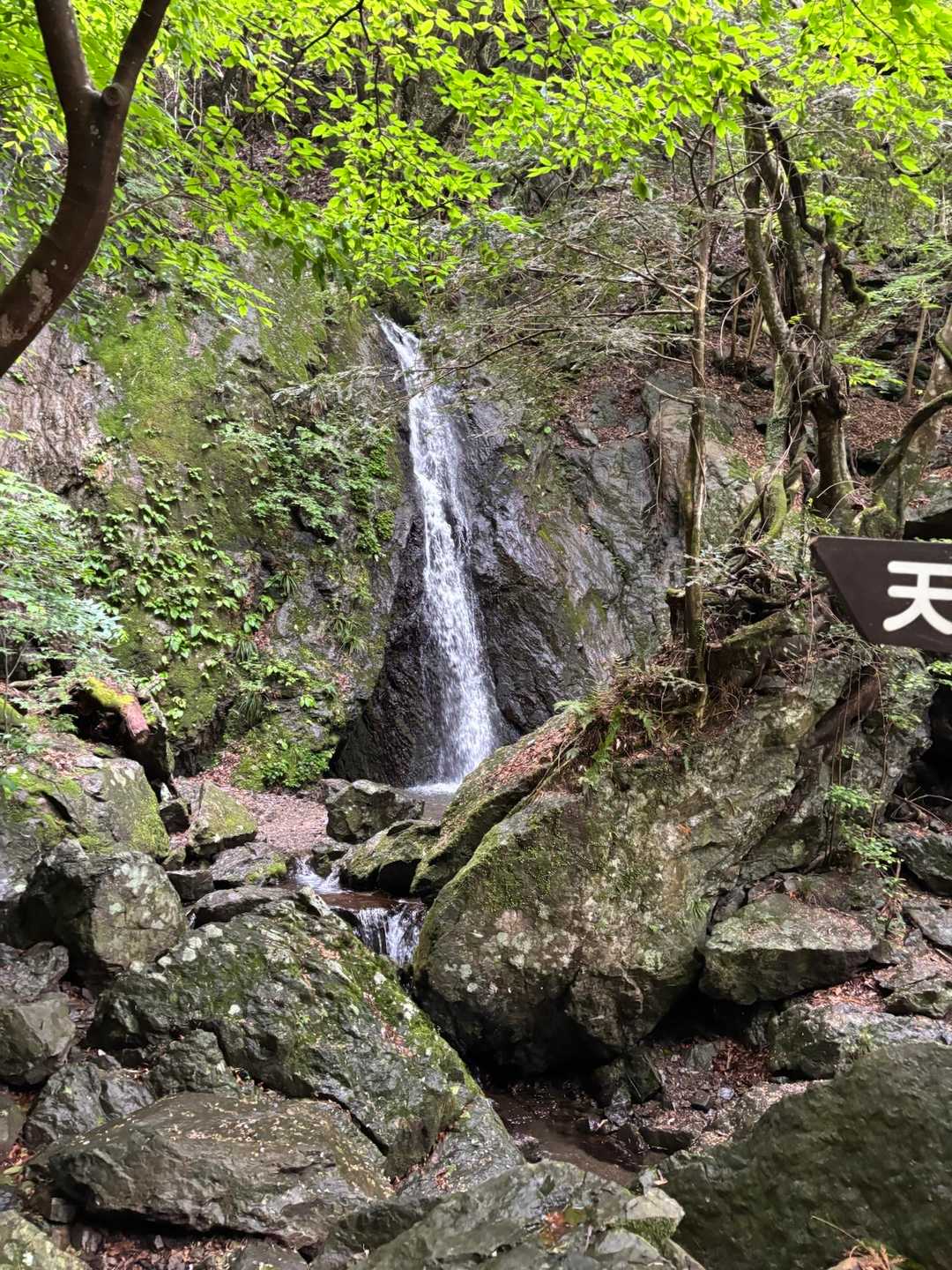 千足バス停-小屋ノ沢山-鶴脚山-馬頭刈山-高明山-長岳 縦走コースの写真