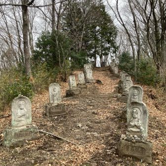 なんとも異様な感じ…。