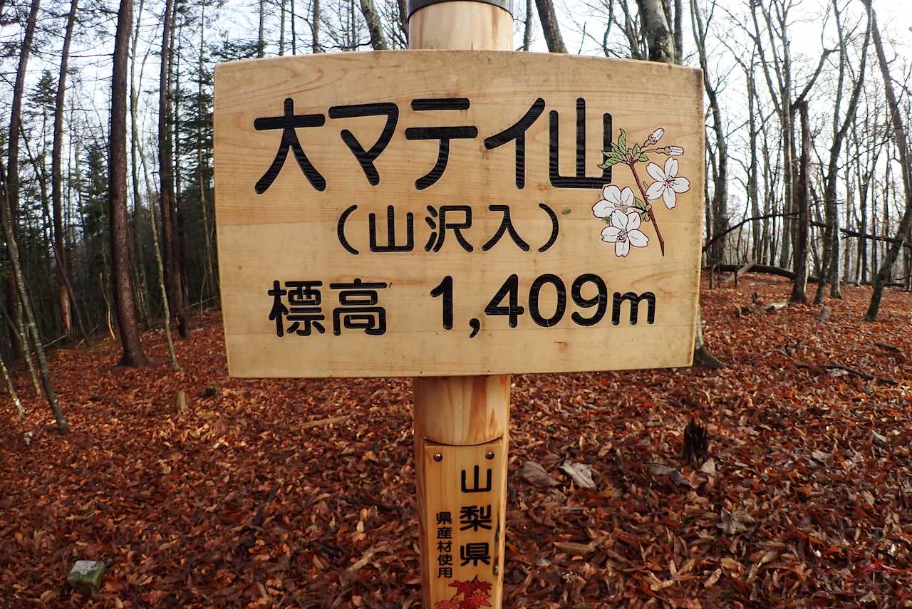 ２座目！
ここまで落ち葉で登山道が隠れ、何度もルートロスを繰り返す。
面倒なので方向だけ確認し勝手に直進したどり着く。