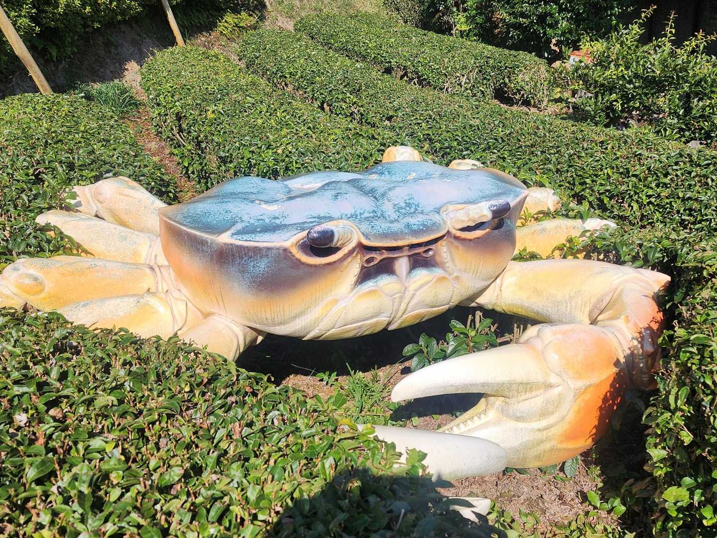 ｢盃と沢蟹｣こいつは非常に気付きにくいところに潜んでいます