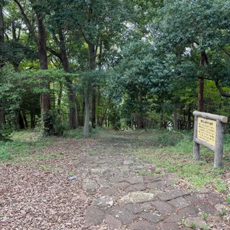 登って来た方と反対側にも登山道がありました