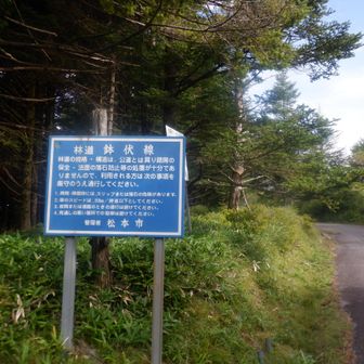 ここから２本目のカーブミラー対面が横峰への取付き