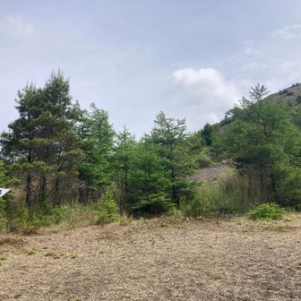 右手にそびえる山頂。ここからが一気に急登。