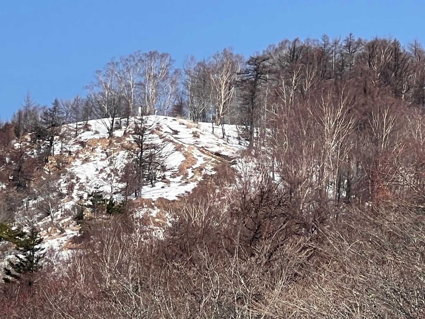 じ━(ㅍ_ㅍ)━･･･なんか山頂にあるww
そのうち着くから待っておれ…