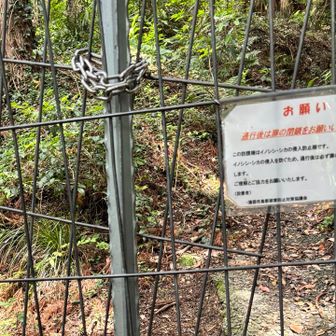 外せなかった鎖⛓️‍💥【カラビナ】で留めてあるそうです。
確認不足でした。