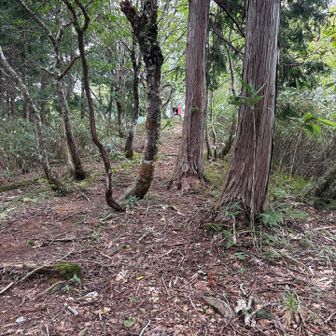 山頂が目の前に😃