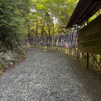 いい感じの参道です
標高もそこそこあるので涼しいです