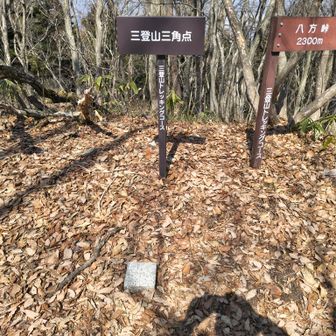 前回は端折った三角点。