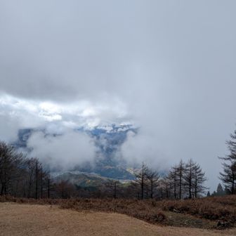これが限界の晴れ間でした