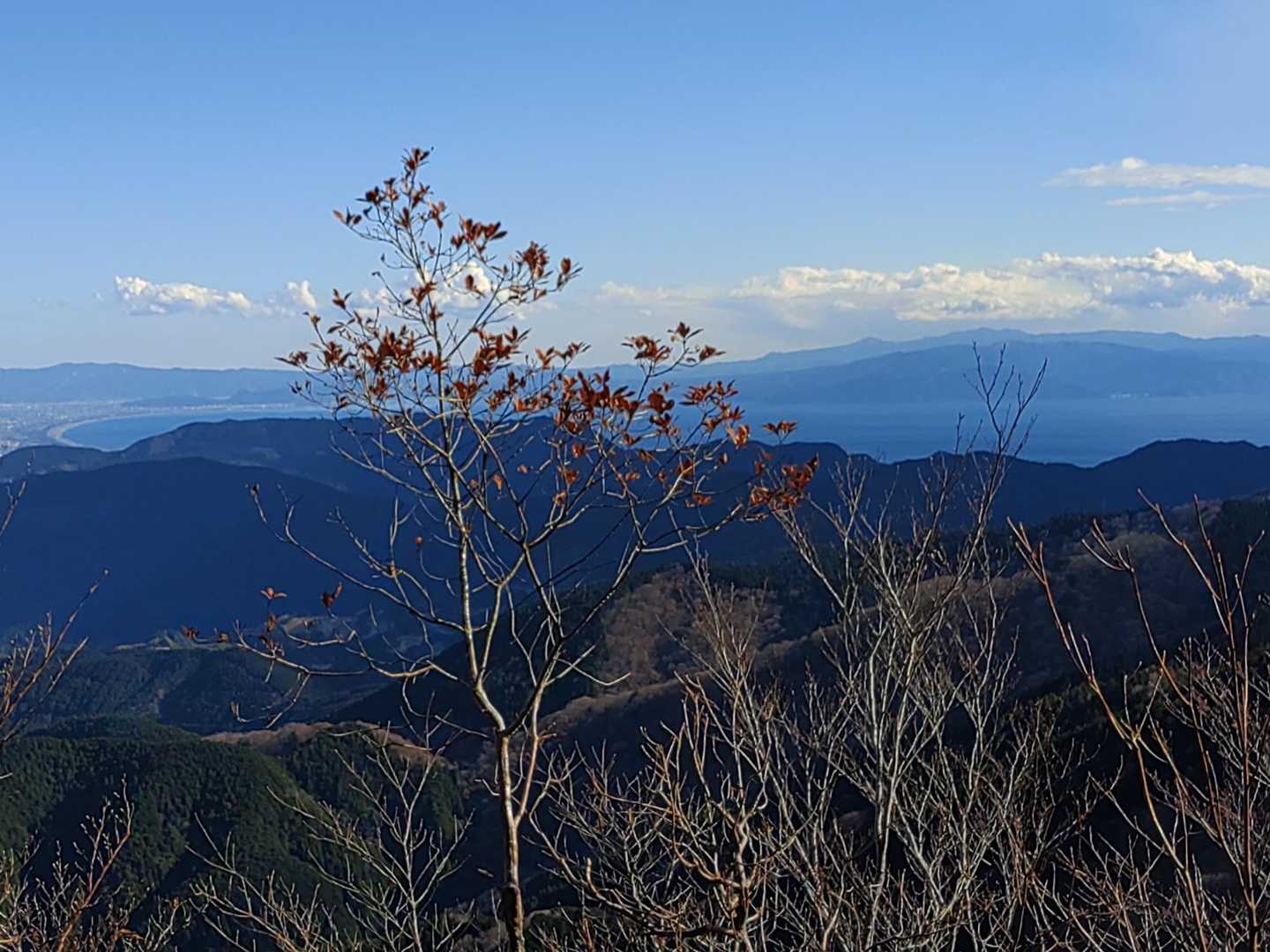 樽峠登山口-樽峠-高ドッキョウ-平治ノ段-貫ヶ岳 周回コースの写真