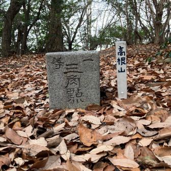 高根山　一頭三角点！