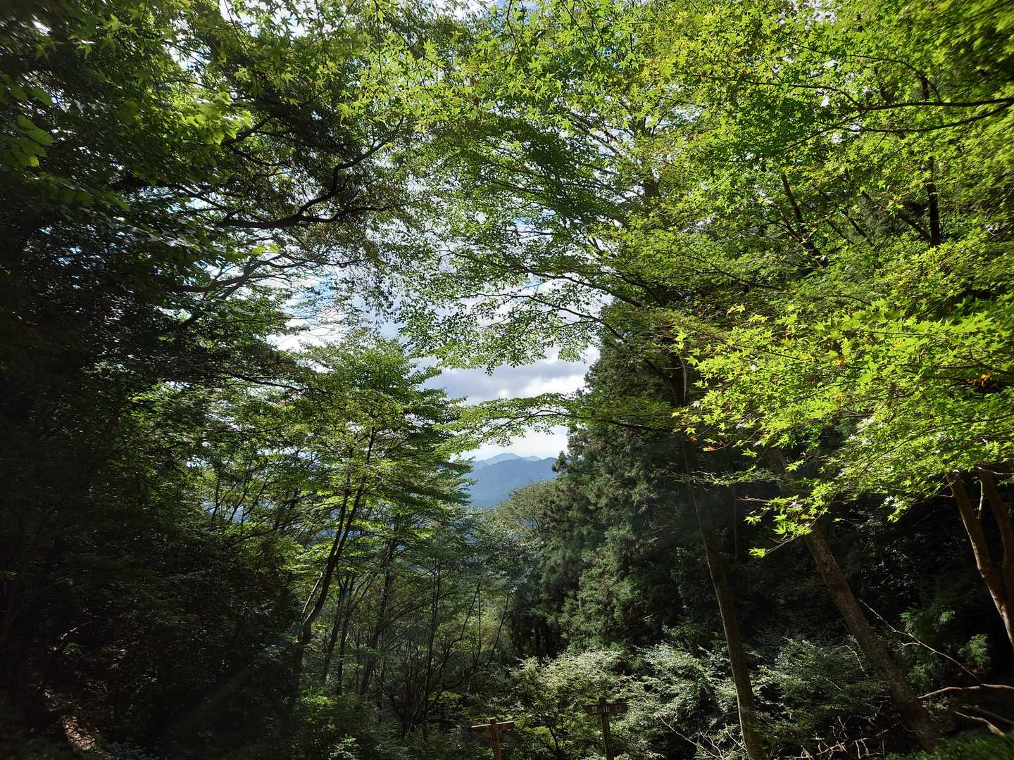 笠の丸-笠形山 周回コースの写真