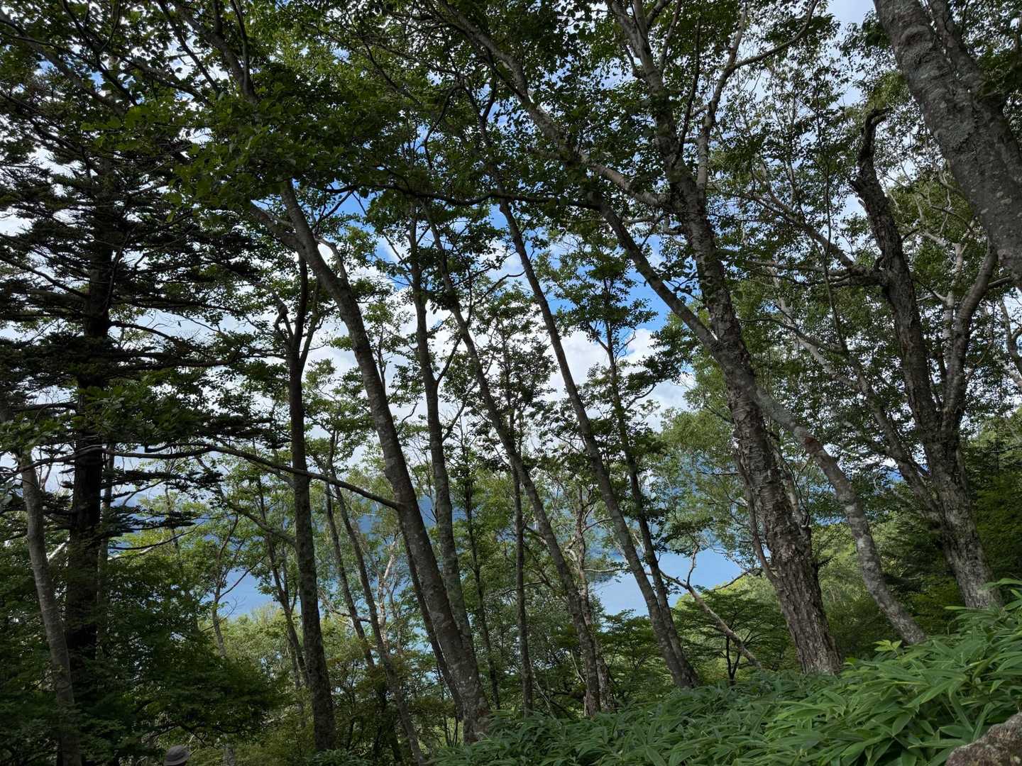 少し登ったら中禅寺湖が見えました。