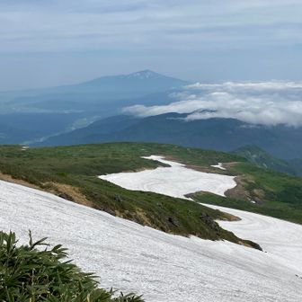 雪渓越しの鳥海山と雲海