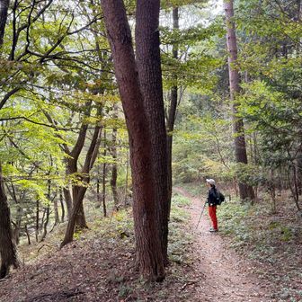 気持ちの良い道が続きます