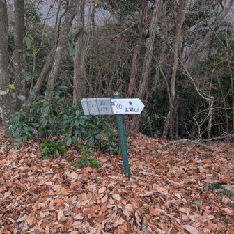 この先は行き止まりなので、ピストンで戻ります。